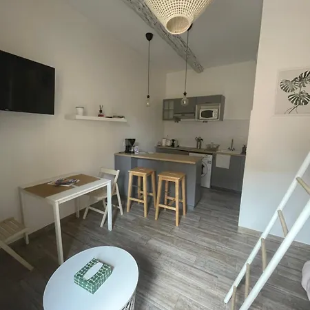 Appartement Vieil Et Mezzanine Proche De La *