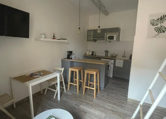 Apartamento Vieil Et Mezzanine Proche De La *